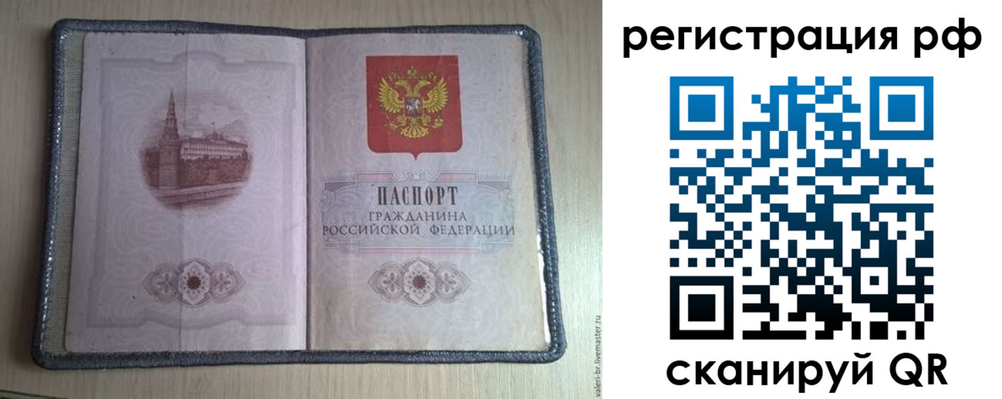 прописка поиск в Нелидово